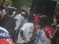 Elephant Man (NPP Party Symbol ).jpg